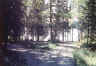 Chubb_Lake.jpg (104065 bytes)