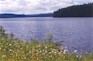 Merton_Lake.jpg (46103 bytes)
