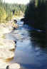 blackwater_canyon.jpg (151611 bytes)