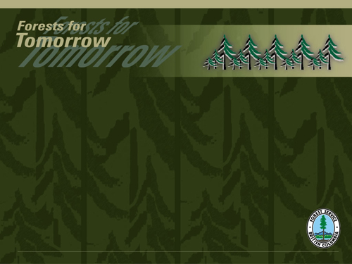 FFT PowerPoint Templete